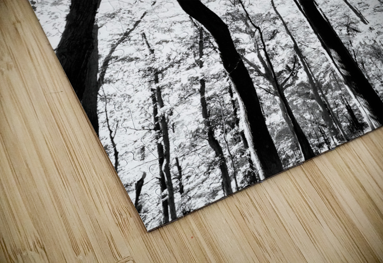 Pennsylvania Woods Earthshine Emporium Puzzle