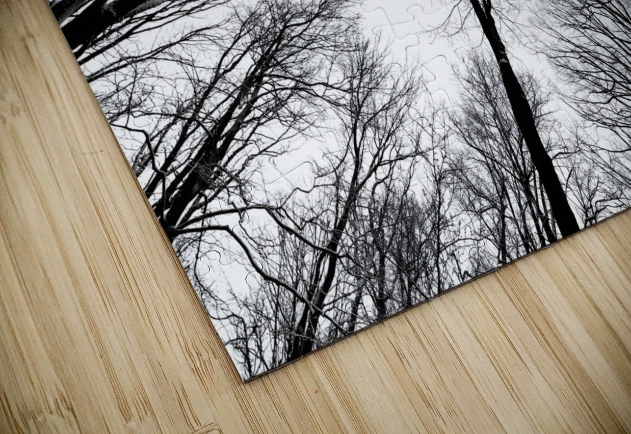 Winter Canopy Earthshine Emporium Puzzle