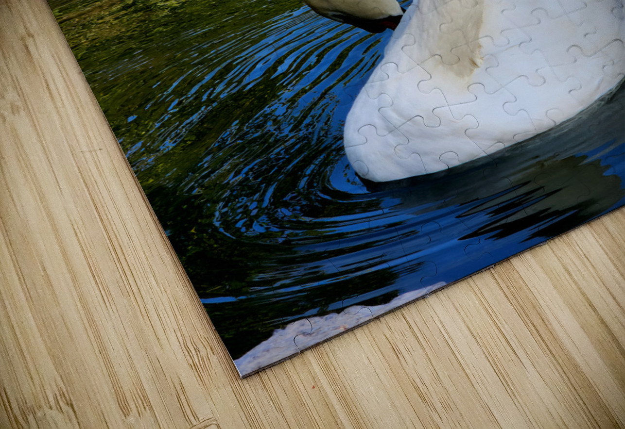 Swan 3 Earthshine Emporium Puzzle