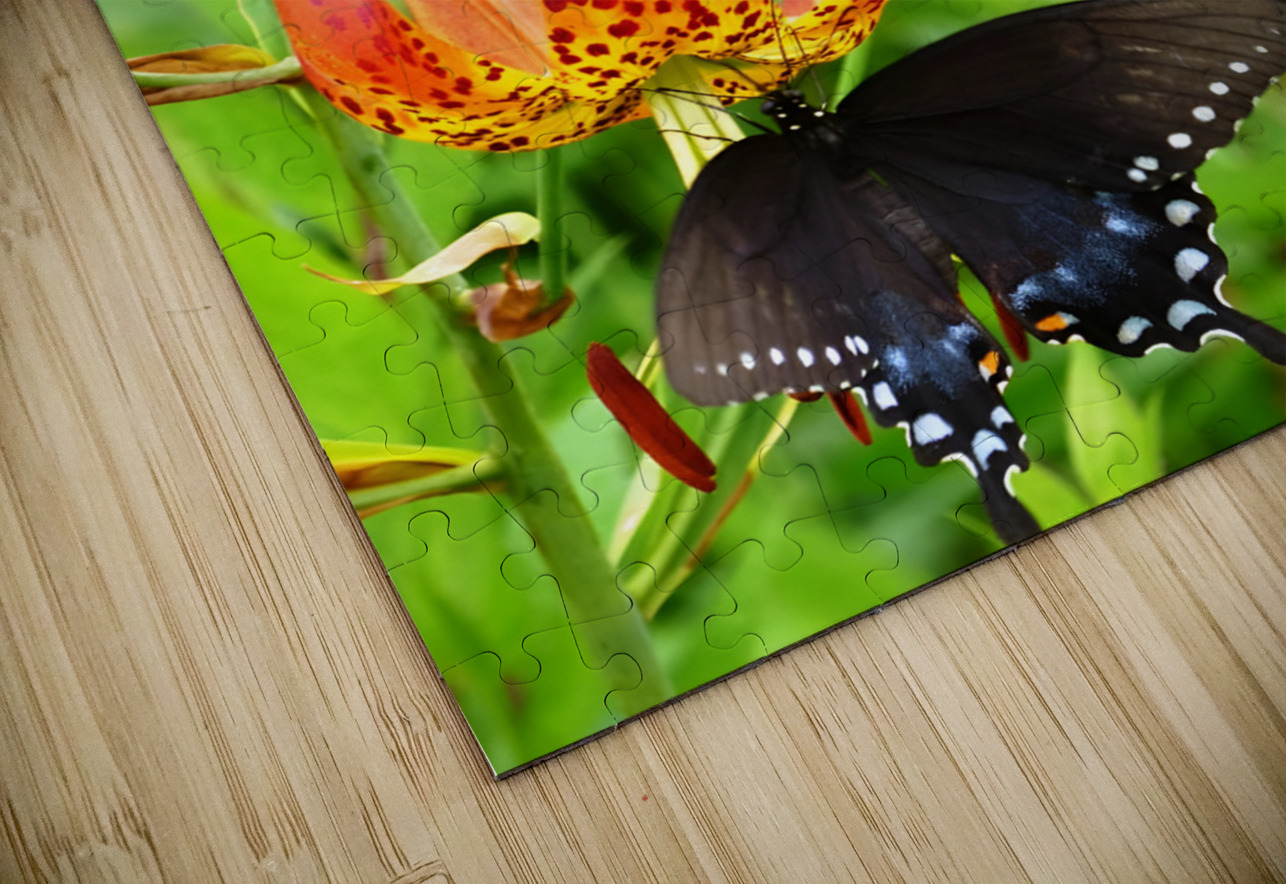 Black Swallowtail On Turks Cap Earthshine Emporium Puzzle
