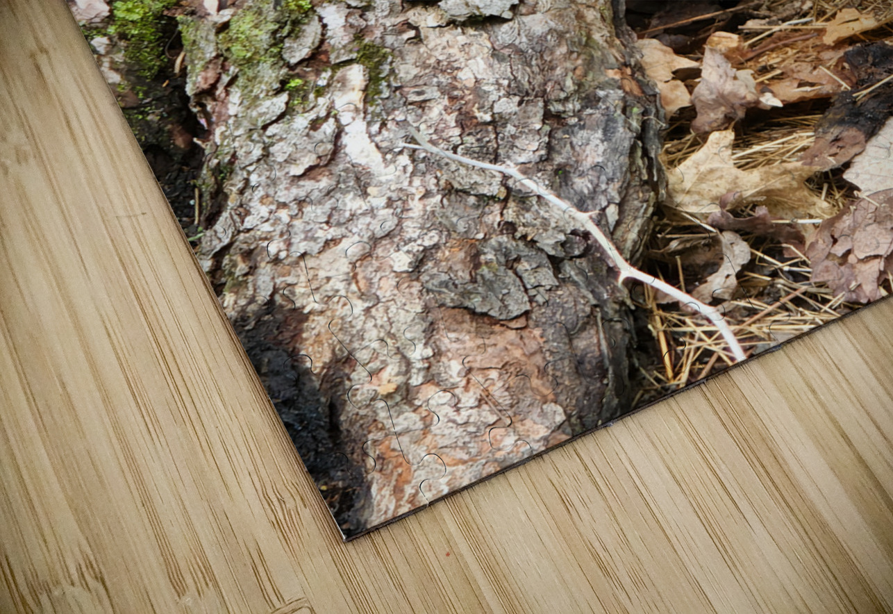 Racoon Kit Earthshine Emporium Puzzle