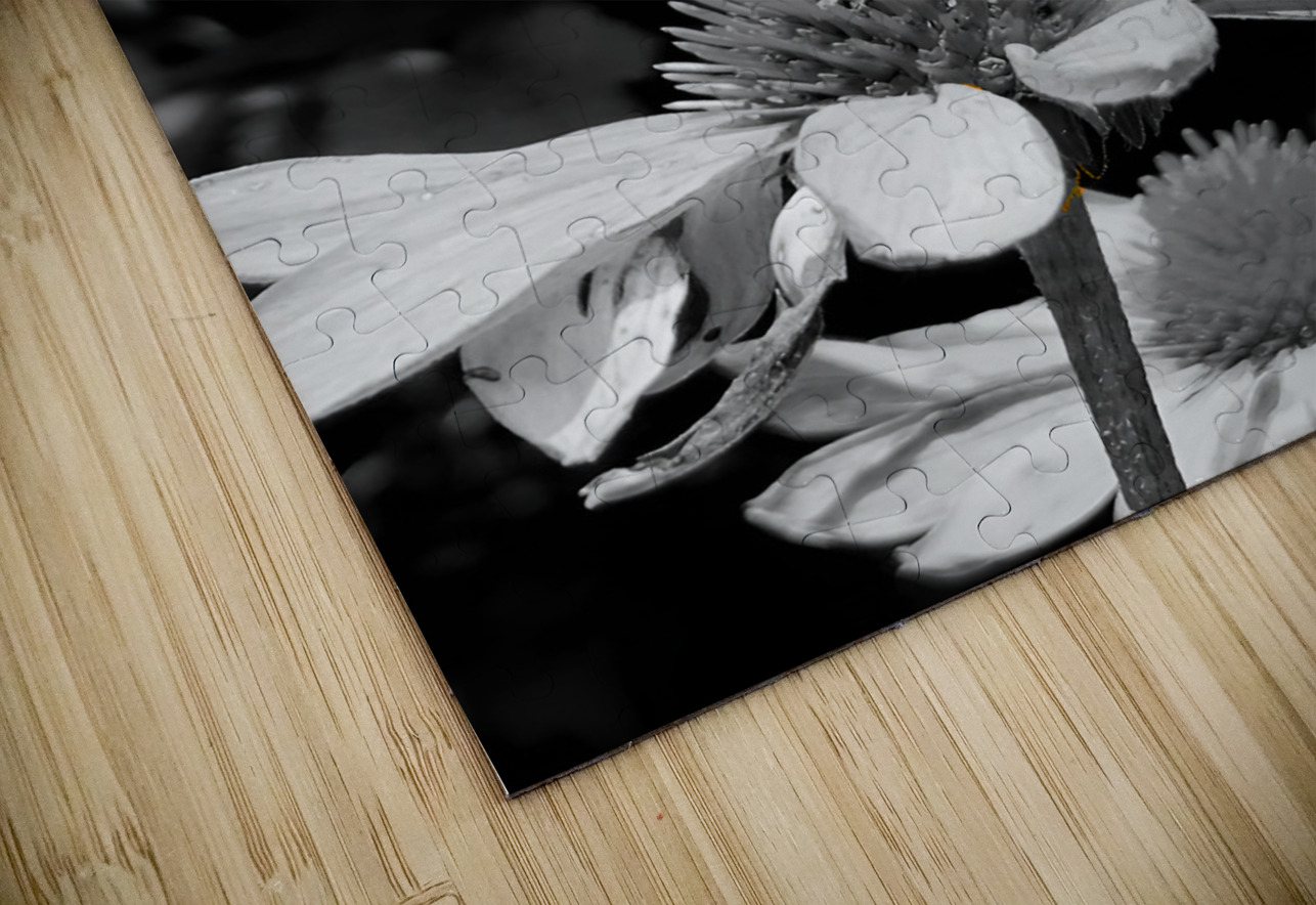 Monarch Highlight Earthshine Emporium Puzzle