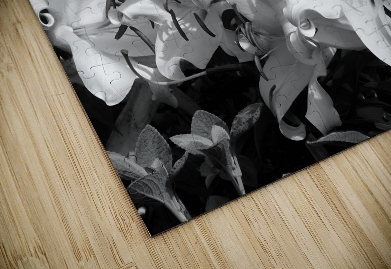 Lilies Earthshine Emporium Puzzle