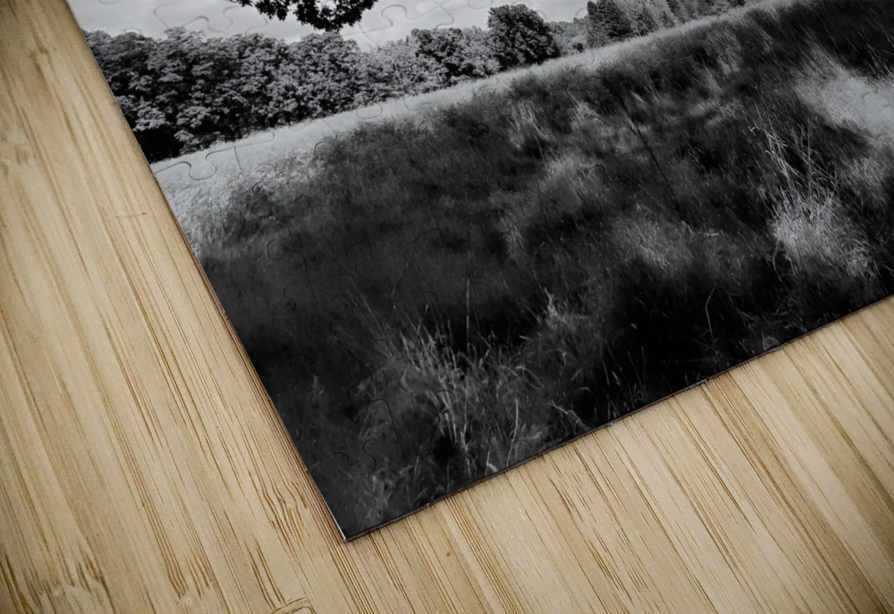 Meadow Earthshine Emporium Puzzle