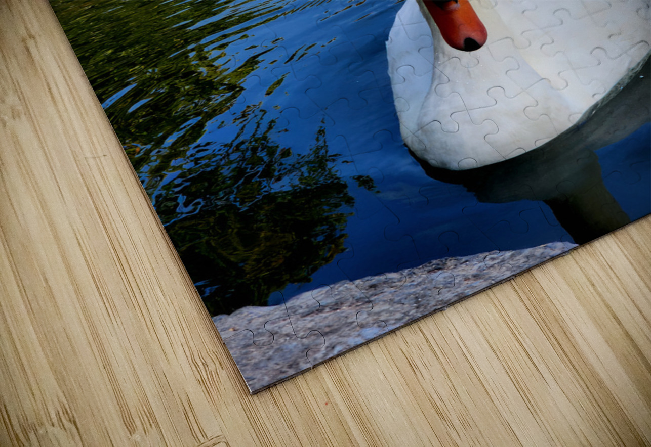 Swan 2 Earthshine Emporium Puzzle