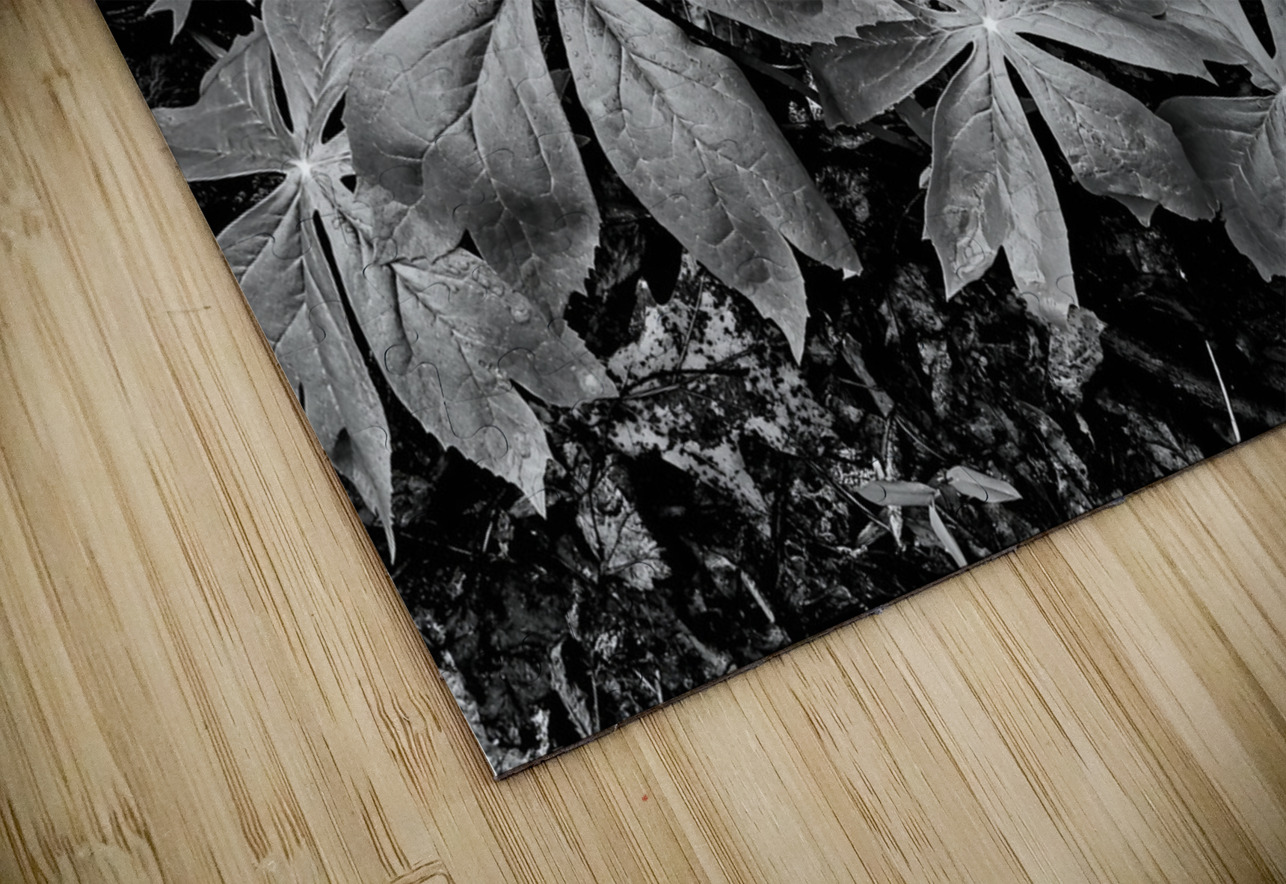 Mayapples Earthshine Emporium Puzzle