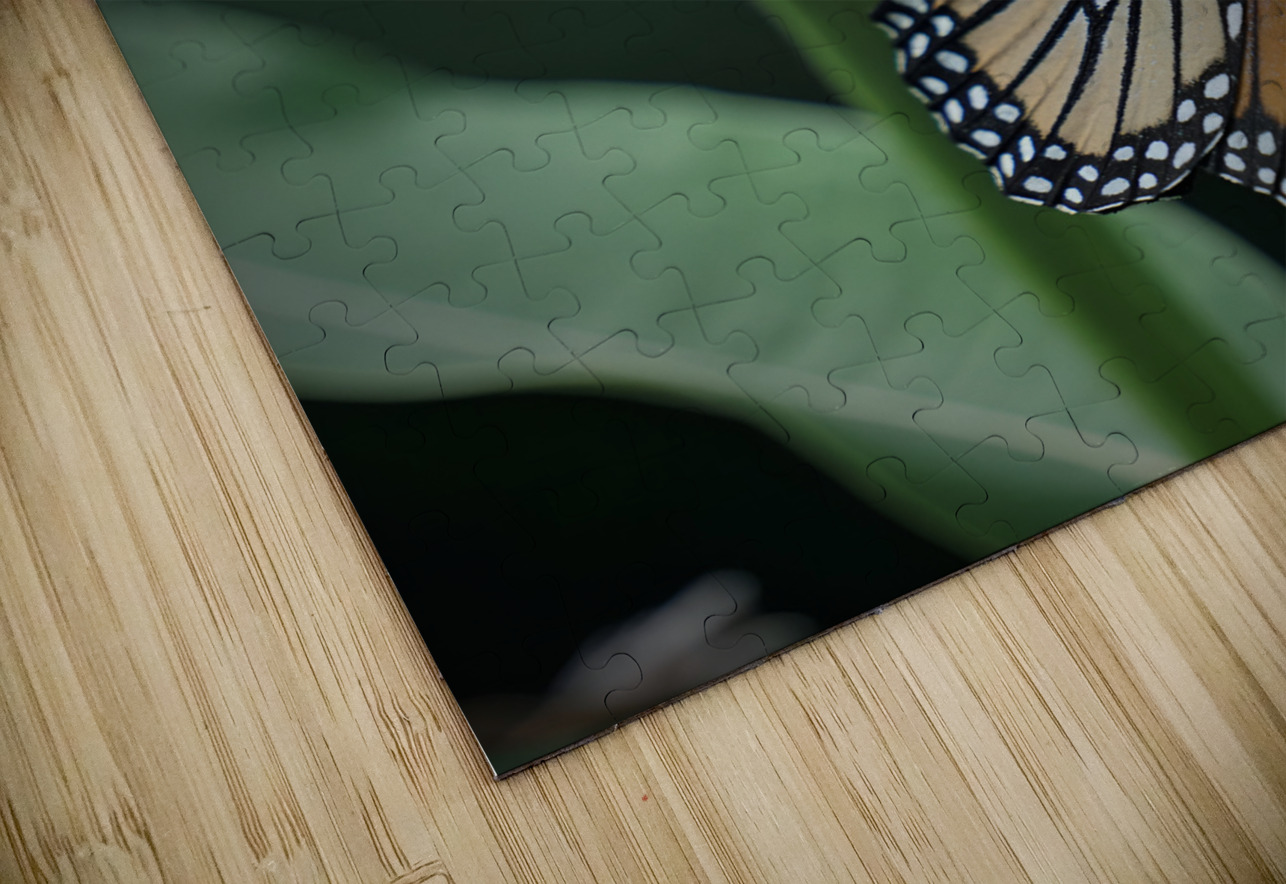 Monarch On Milkweed Earthshine Emporium Puzzle