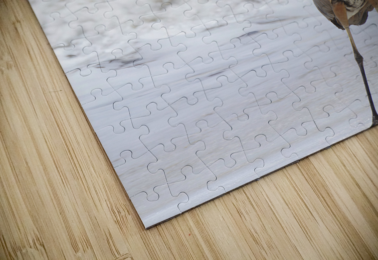 Sneaky Blue Heron Earthshine Emporium Puzzle