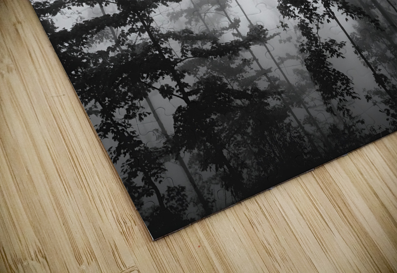 Misty Morning Earthshine Emporium Puzzle