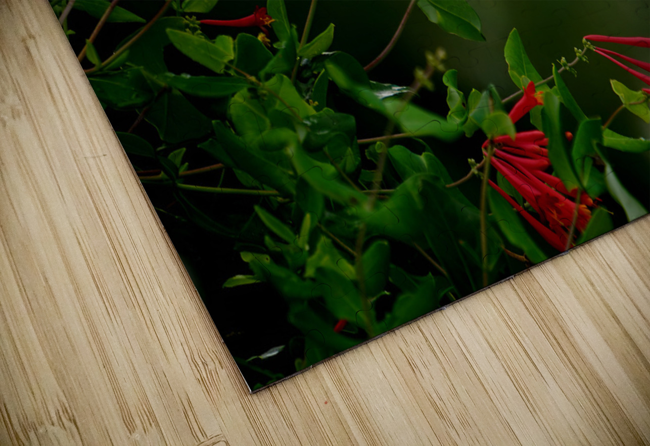 Nectaring Hummingbird Earthshine Emporium Puzzle