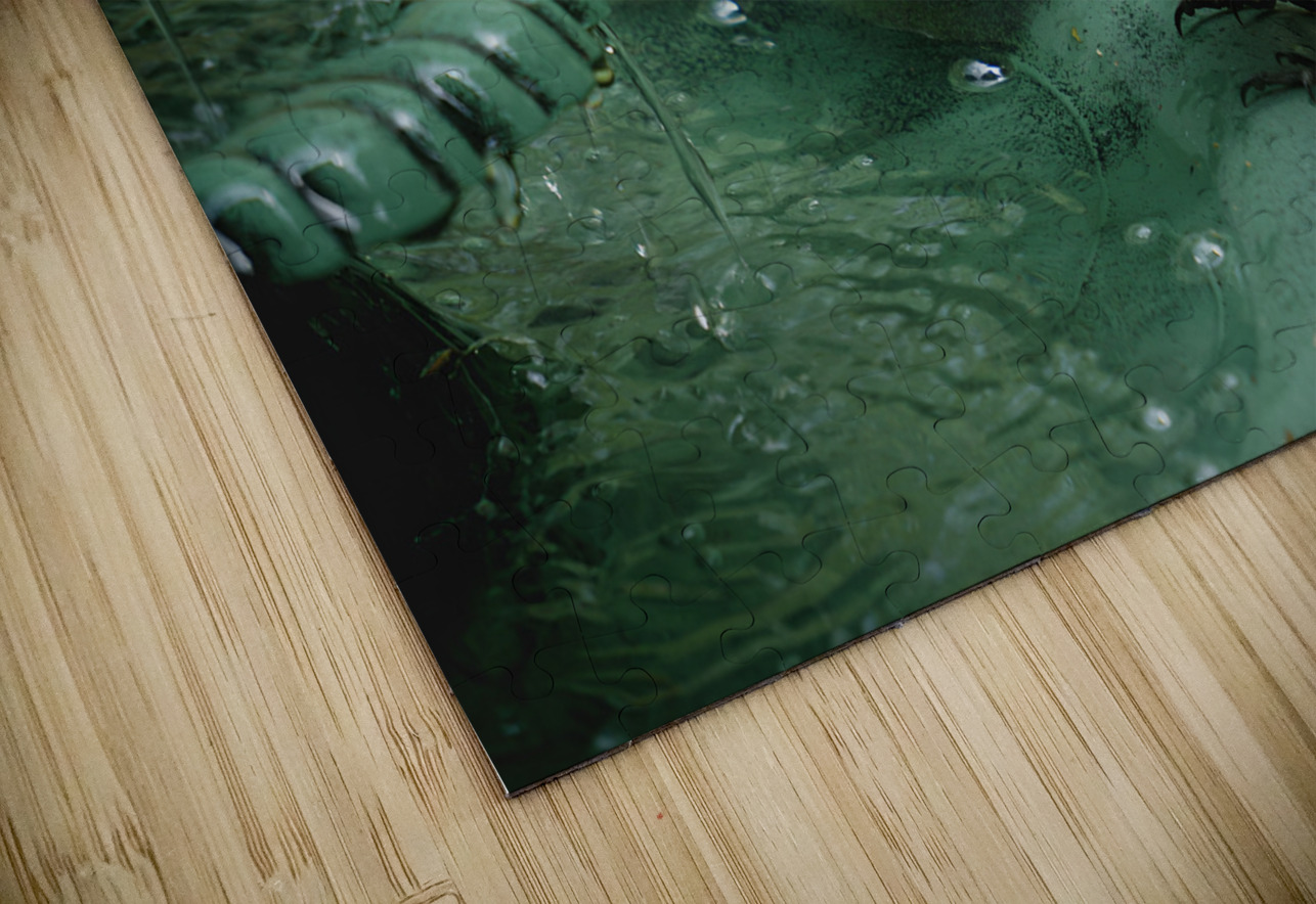 Catbird Scolding Earthshine Emporium Puzzle