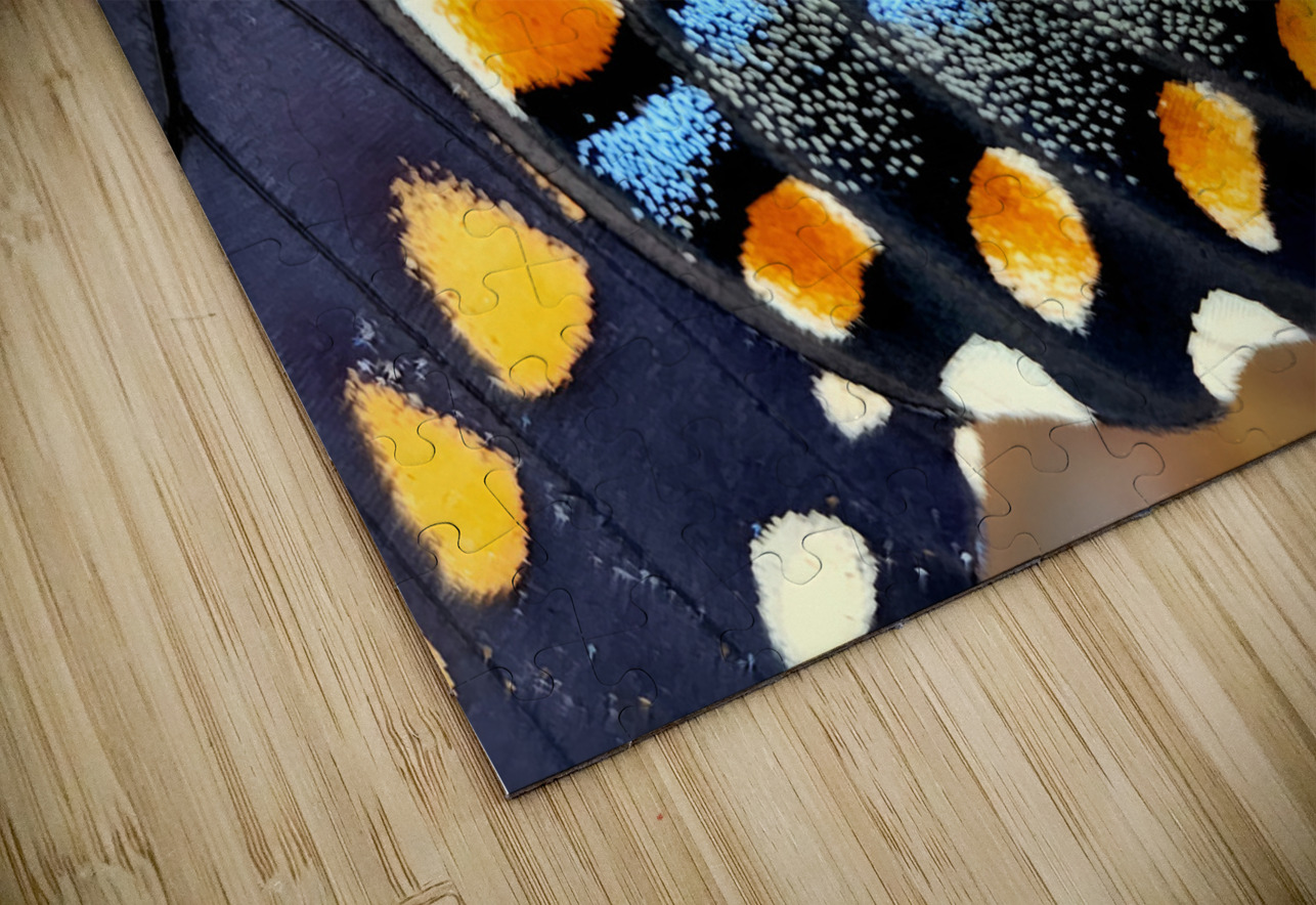 Black Swallowtail Closeup Earthshine Emporium Puzzle
