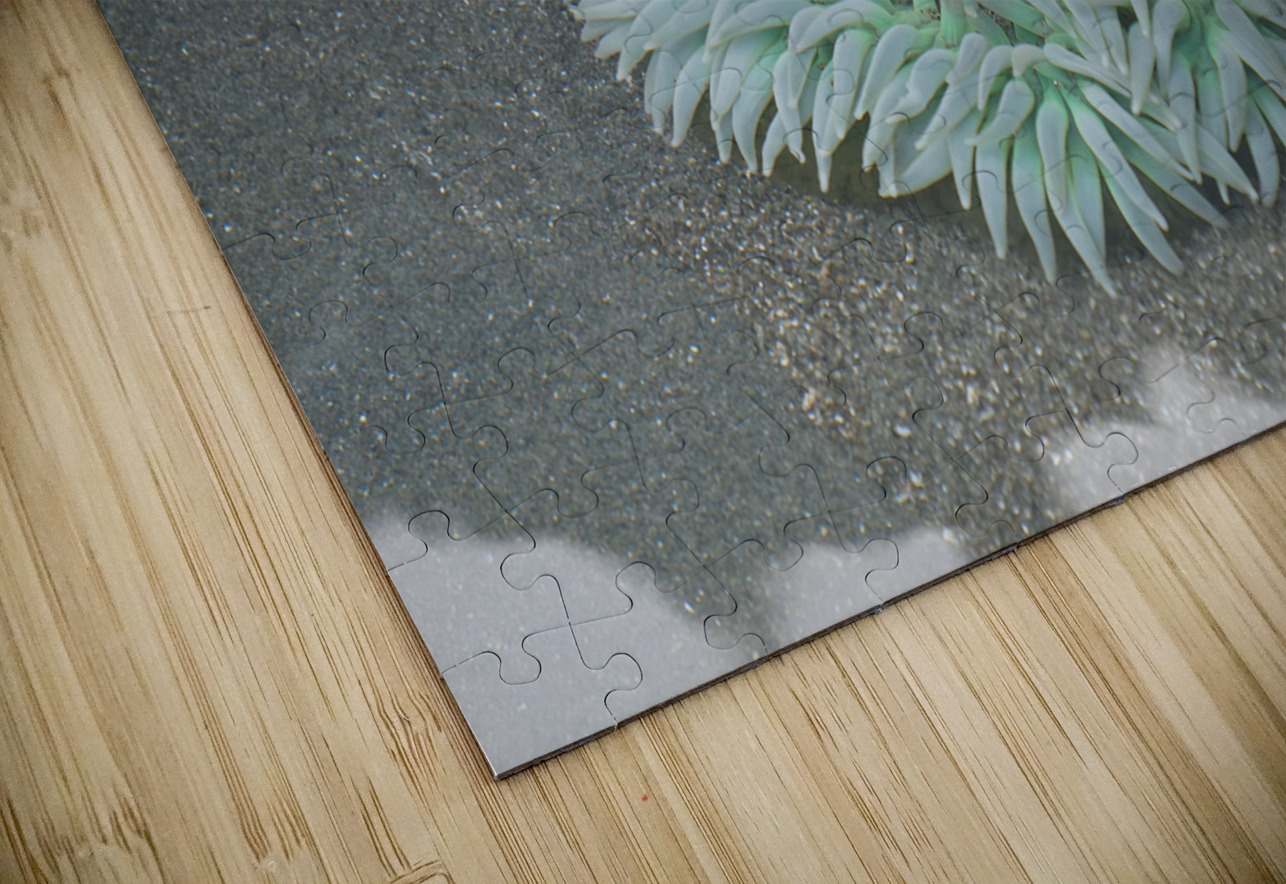 Sea Anemone Earthshine Emporium Puzzle