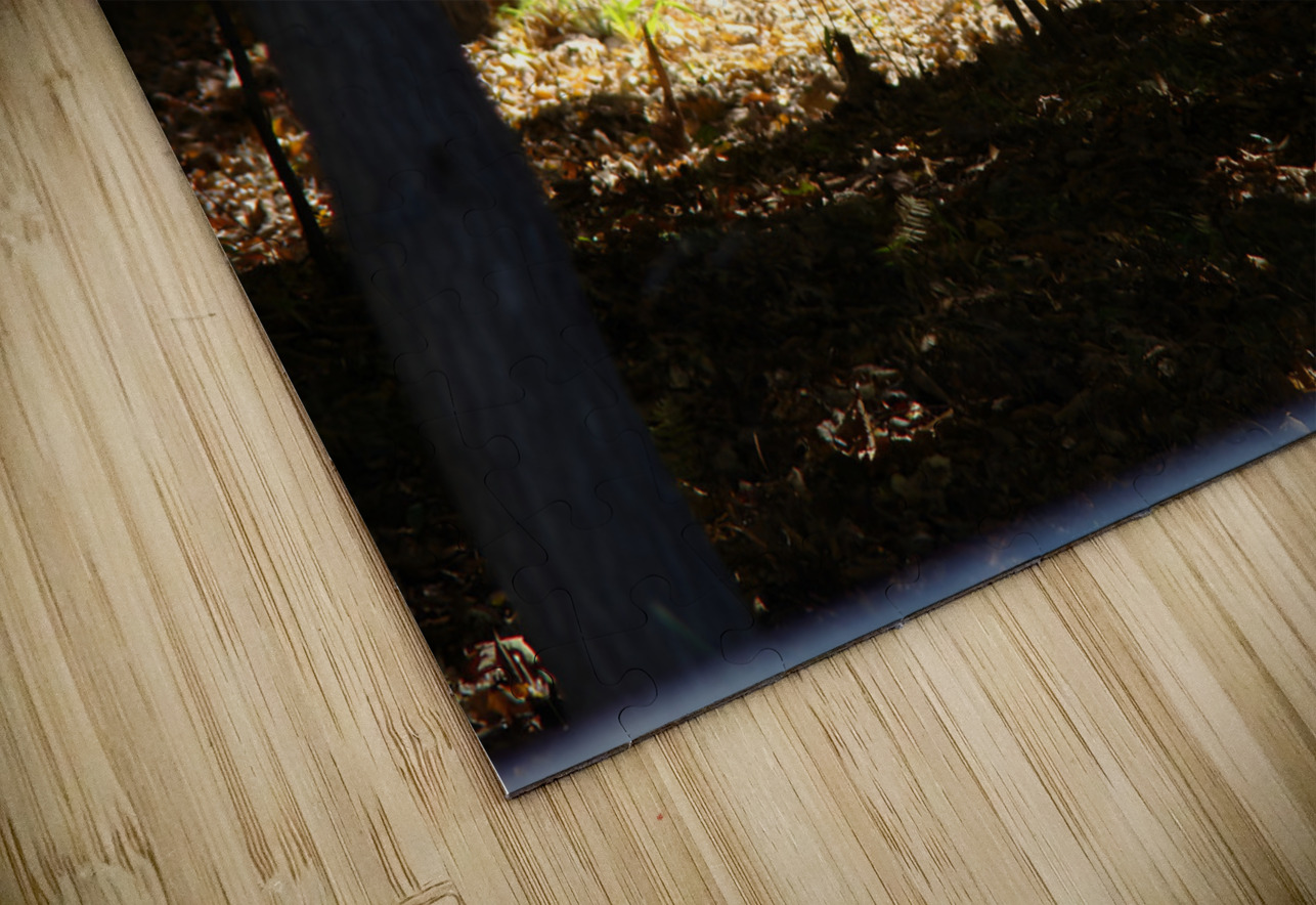 Lake Deer Earthshine Emporium Puzzle