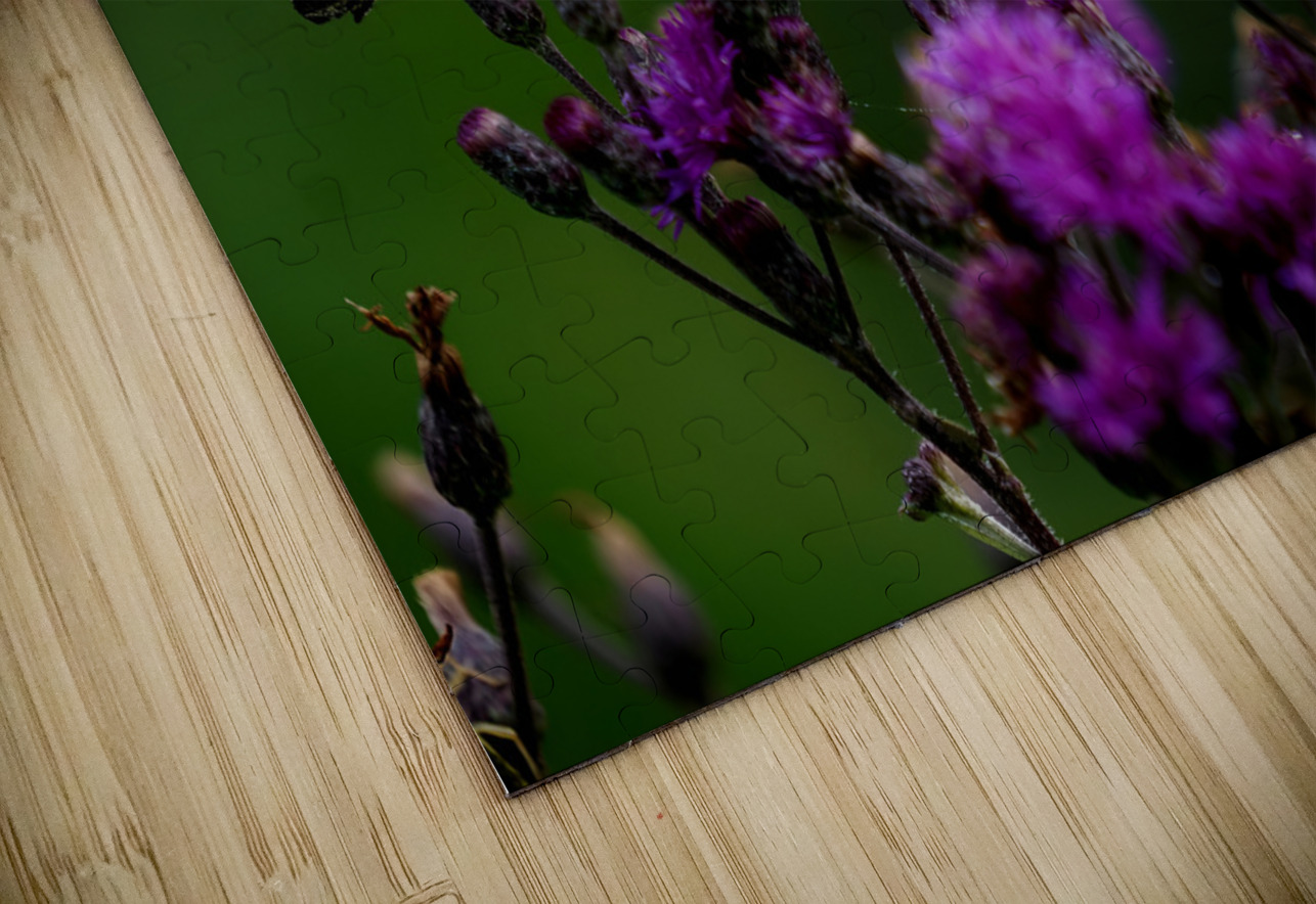 Swallowtail On Ironweed Earthshine Emporium Puzzle