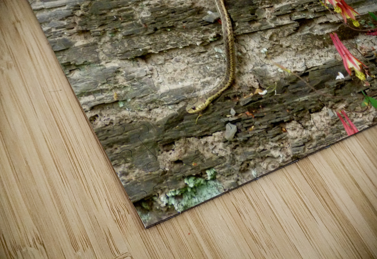 Beauty And Beast Earthshine Emporium Puzzle