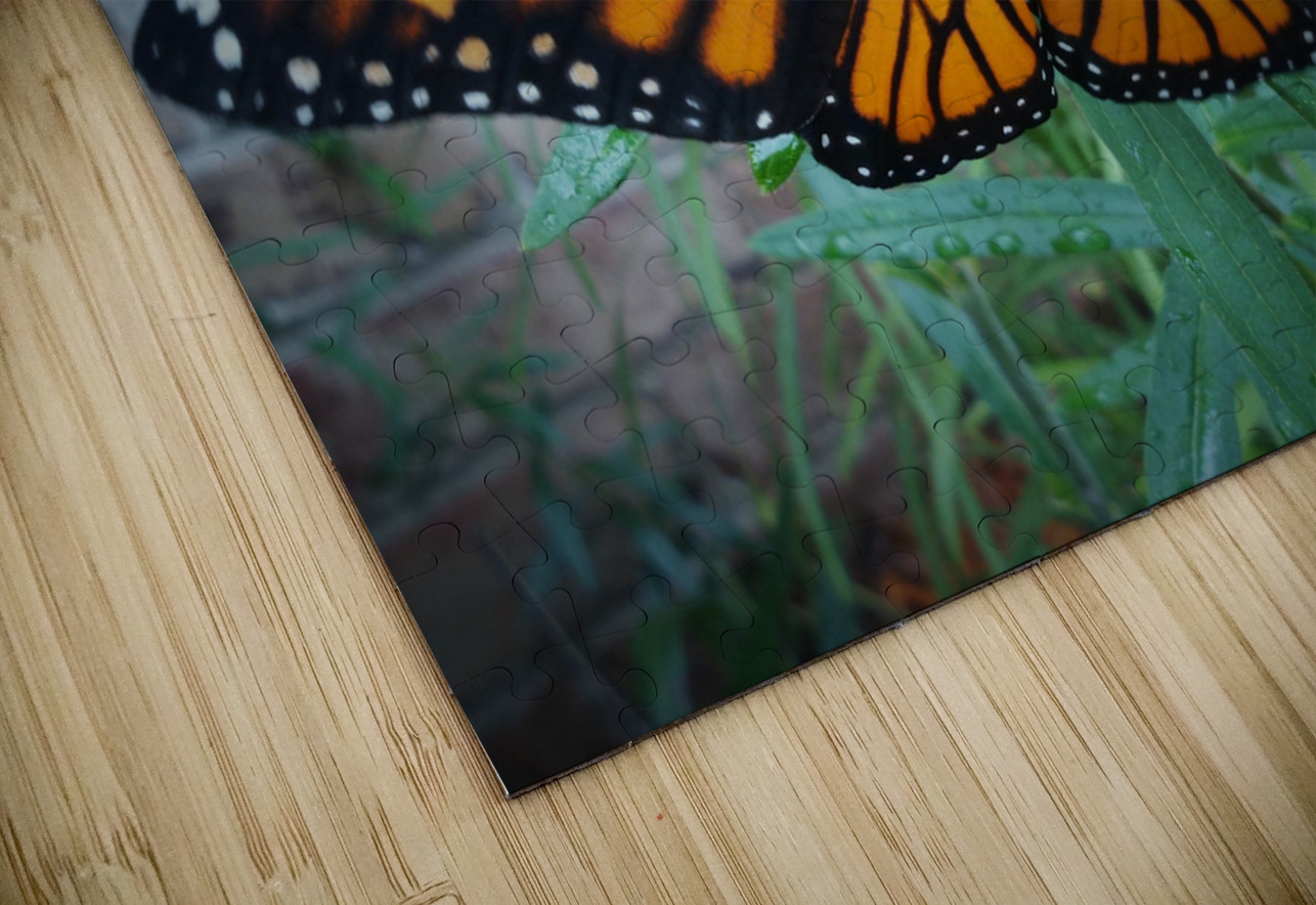 Monarch Female Earthshine Emporium Puzzle