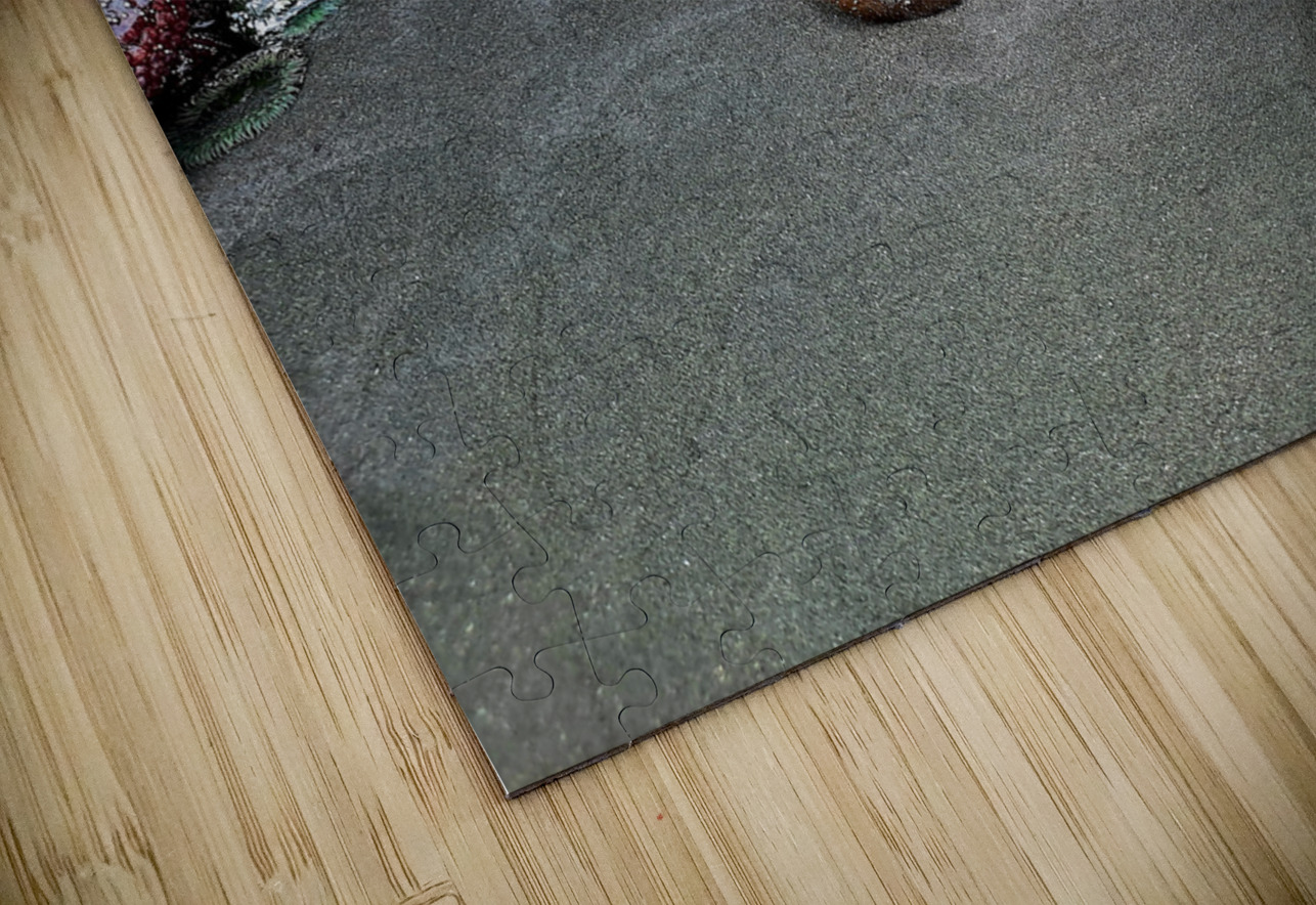 Tidal Pool 4 Earthshine Emporium Puzzle