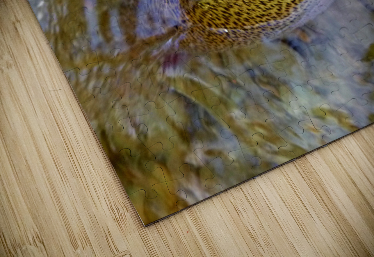 Trout Dorsal Fin Earthshine Emporium Puzzle