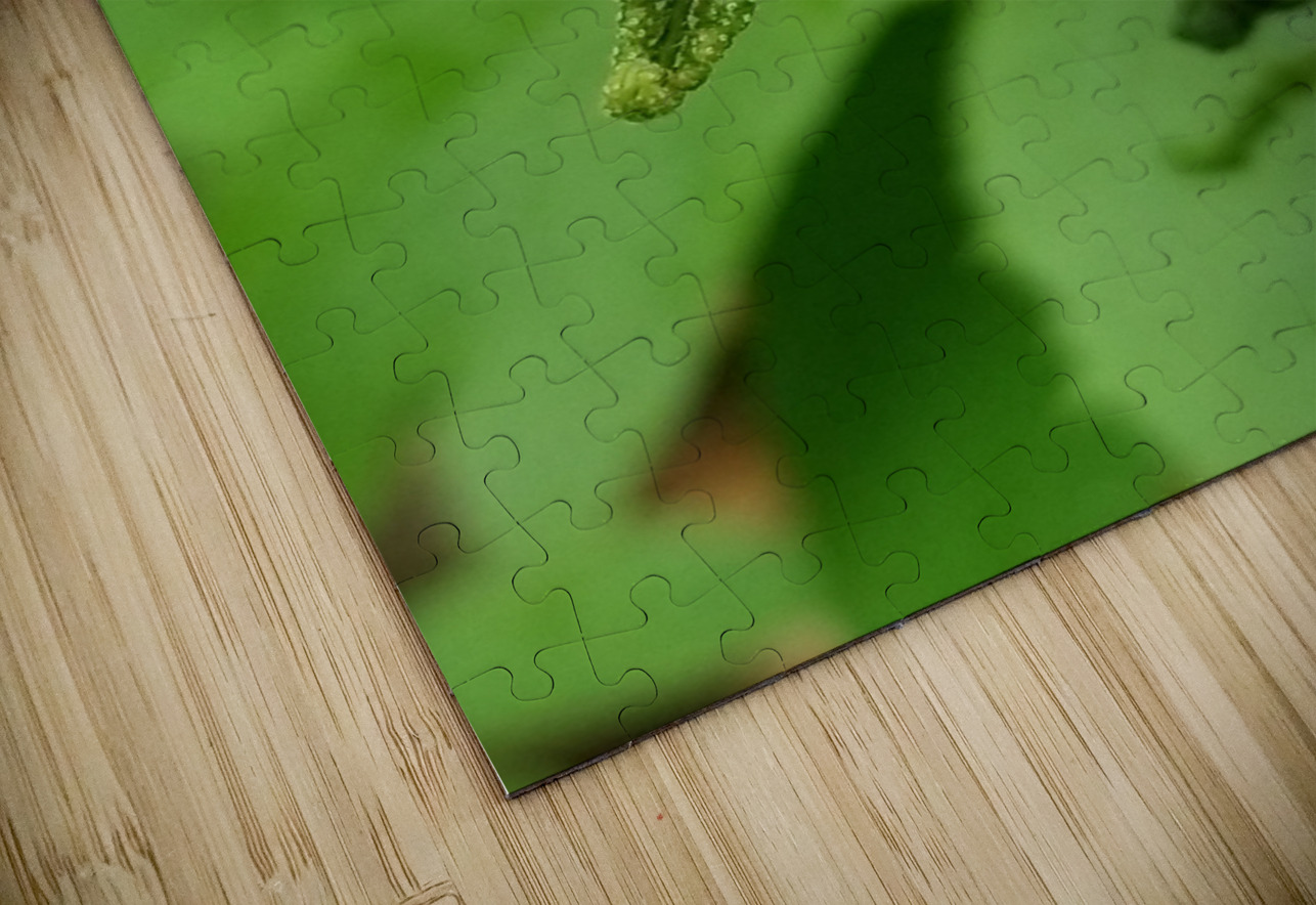 Fiddlehead 1 Earthshine Emporium Puzzle