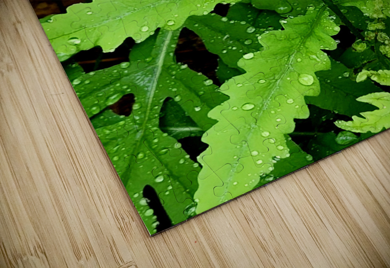 Sensitive Fern Earthshine Emporium Puzzle