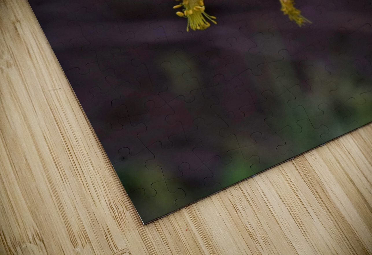 Columbine Earthshine Emporium Puzzle