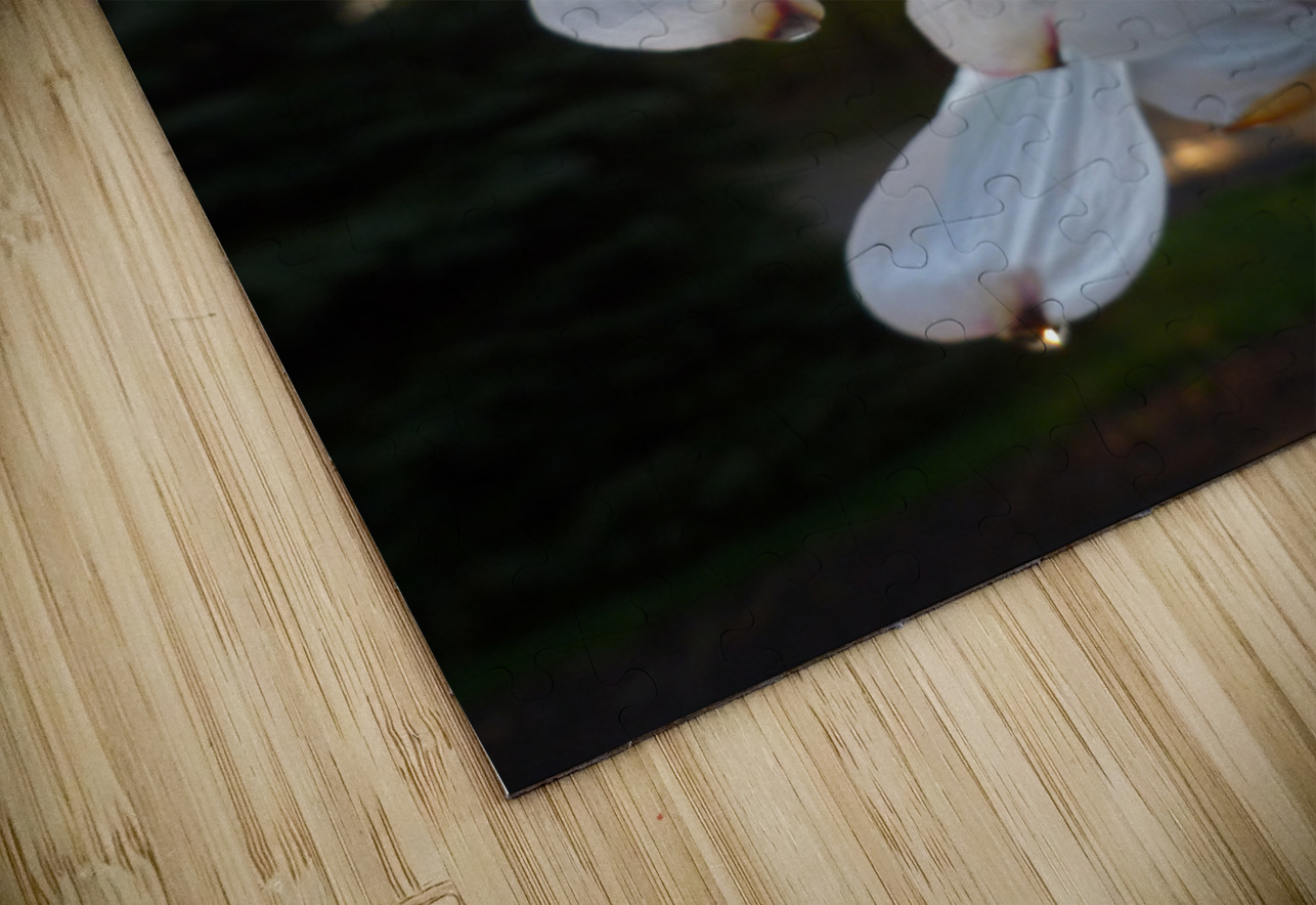 White Dogwood At Sunset Earthshine Emporium Puzzle