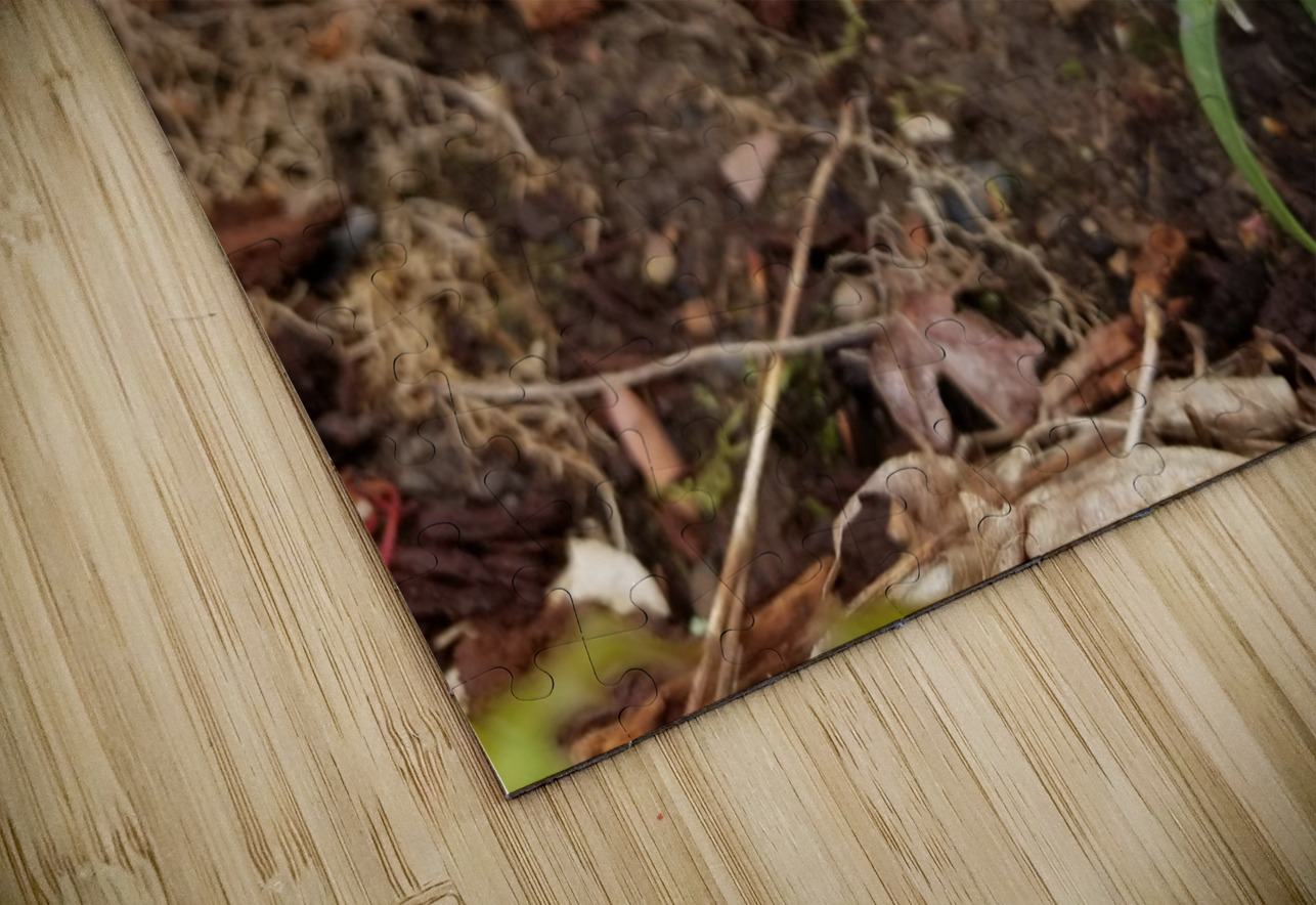 Spring Beauties Earthshine Emporium Puzzle