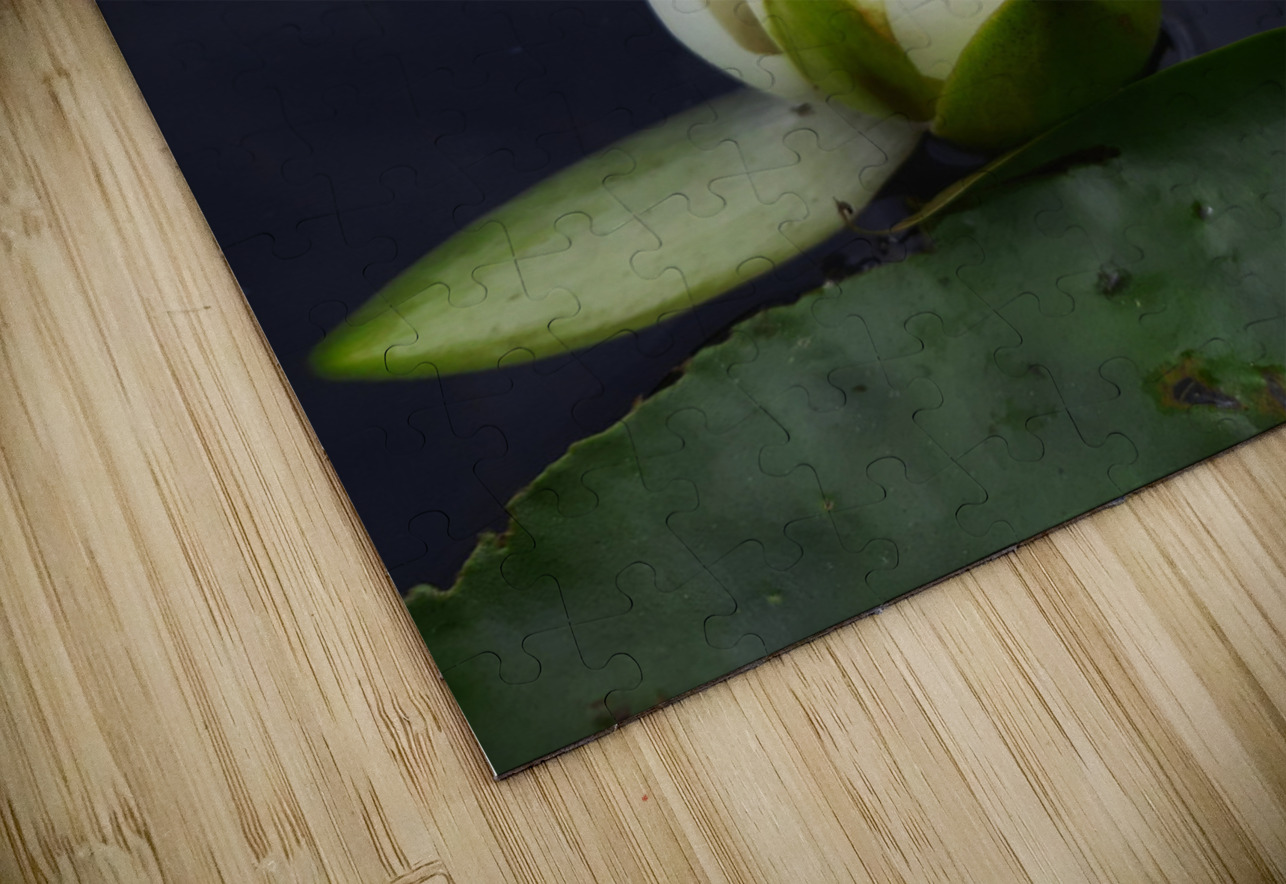 Water Lily Earthshine Emporium Puzzle