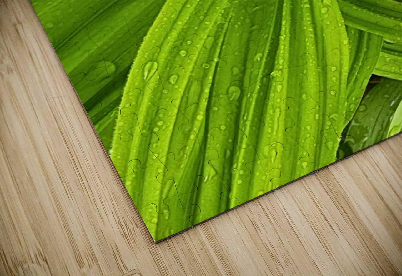 False Hellebore Earthshine Emporium Puzzle