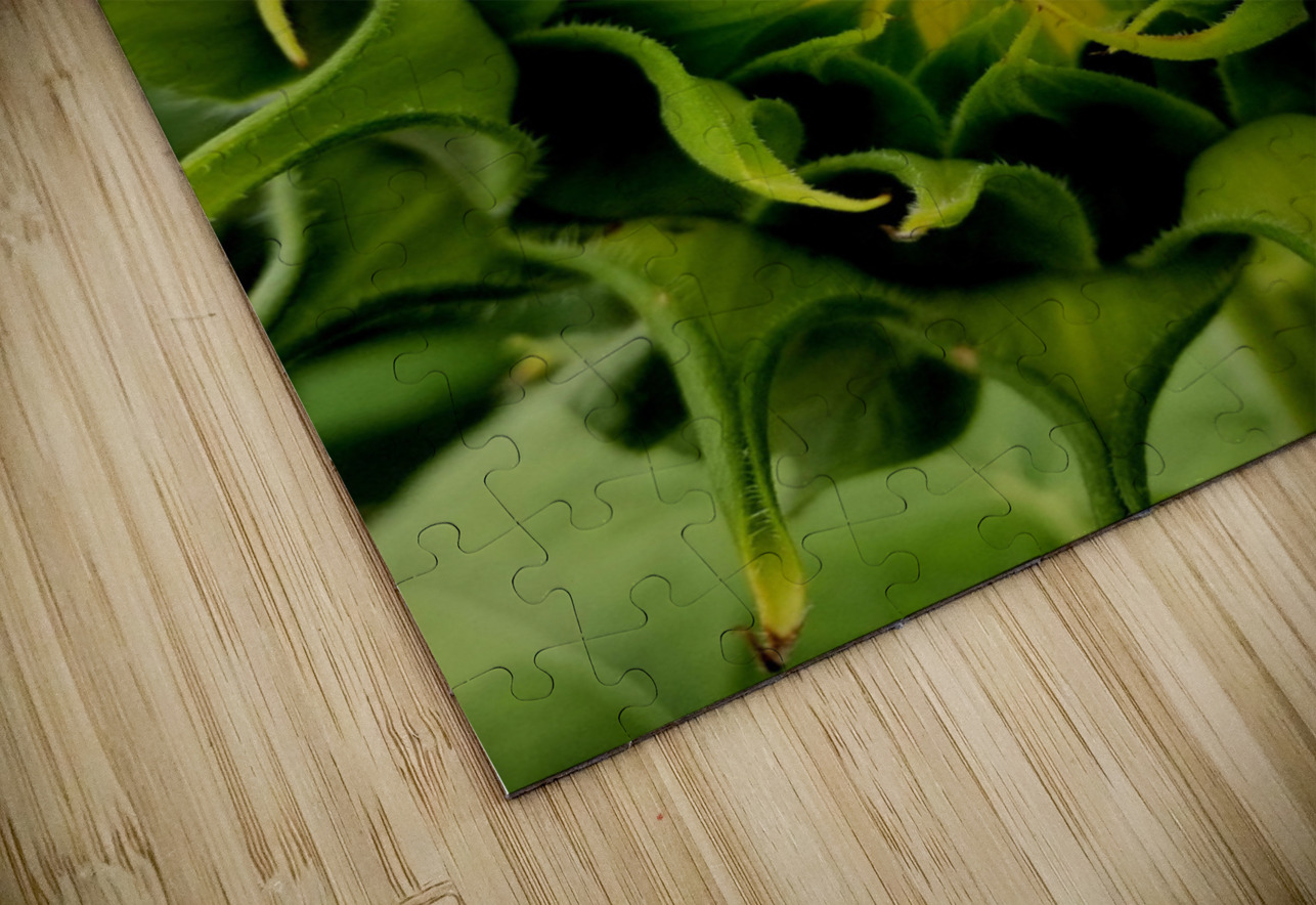 Sunflower Bud Earthshine Emporium Puzzle