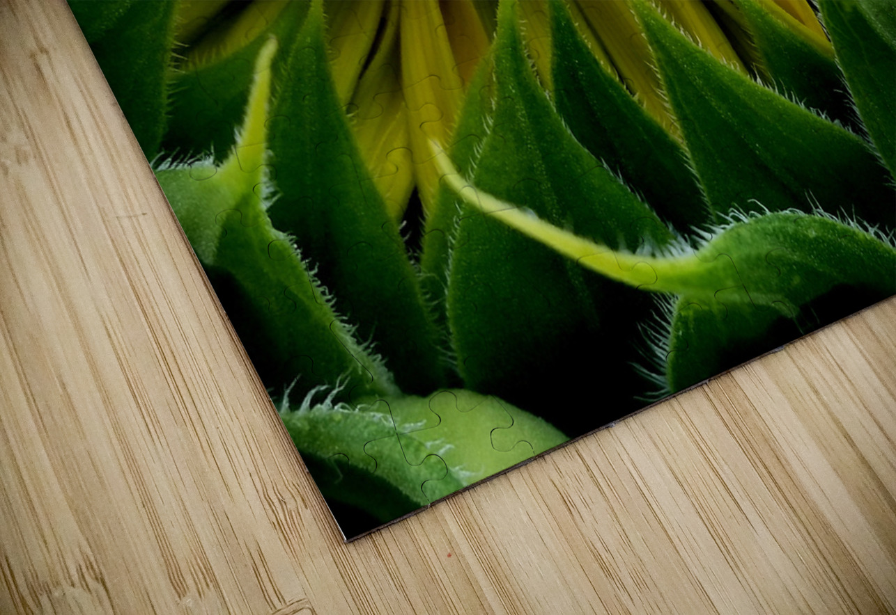 Sunflower Bud Earthshine Emporium Puzzle