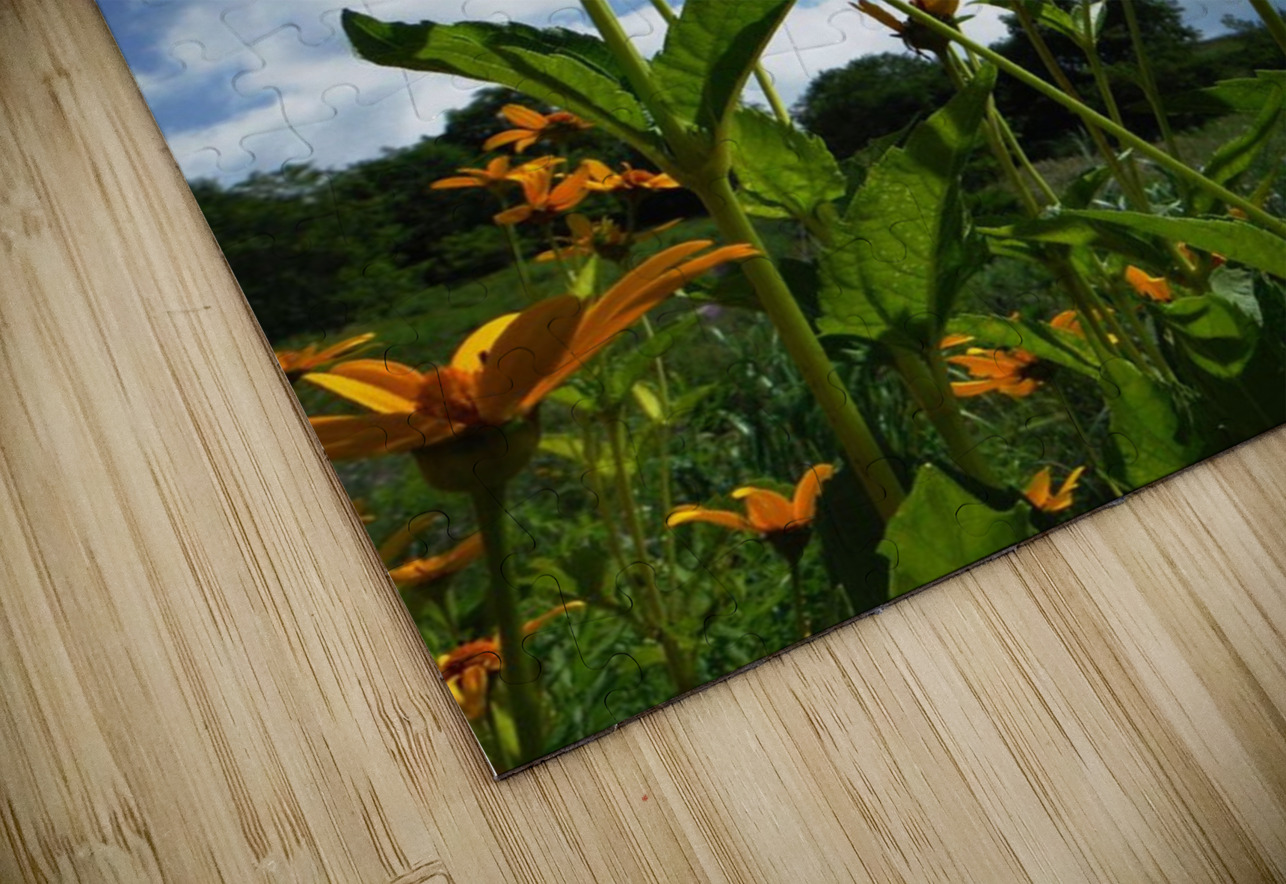 Helianthus Earthshine Emporium Puzzle