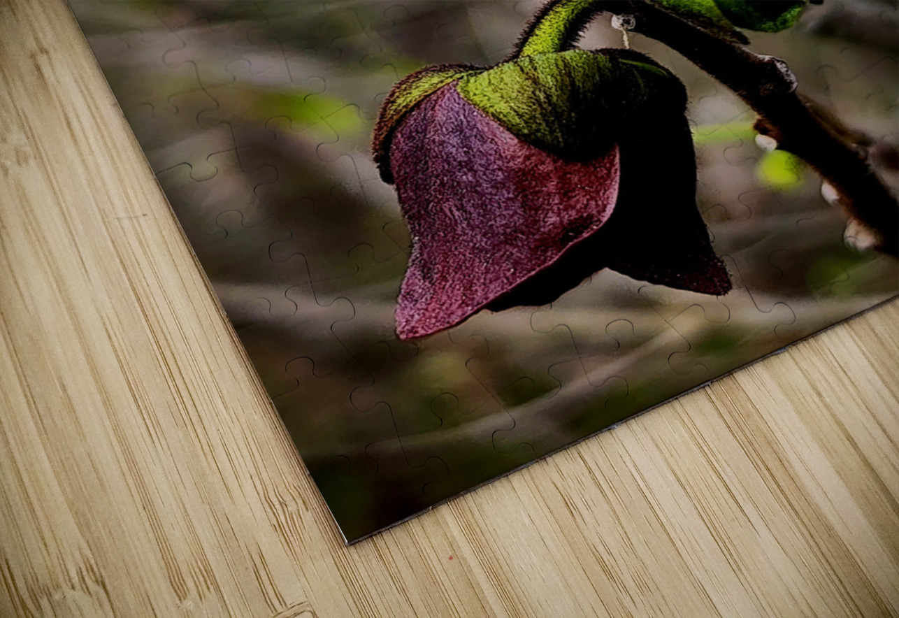 Paw Paw Flower Earthshine Emporium Puzzle