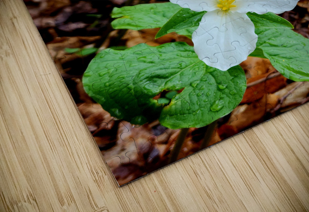White Trillium Column Earthshine Emporium Puzzle