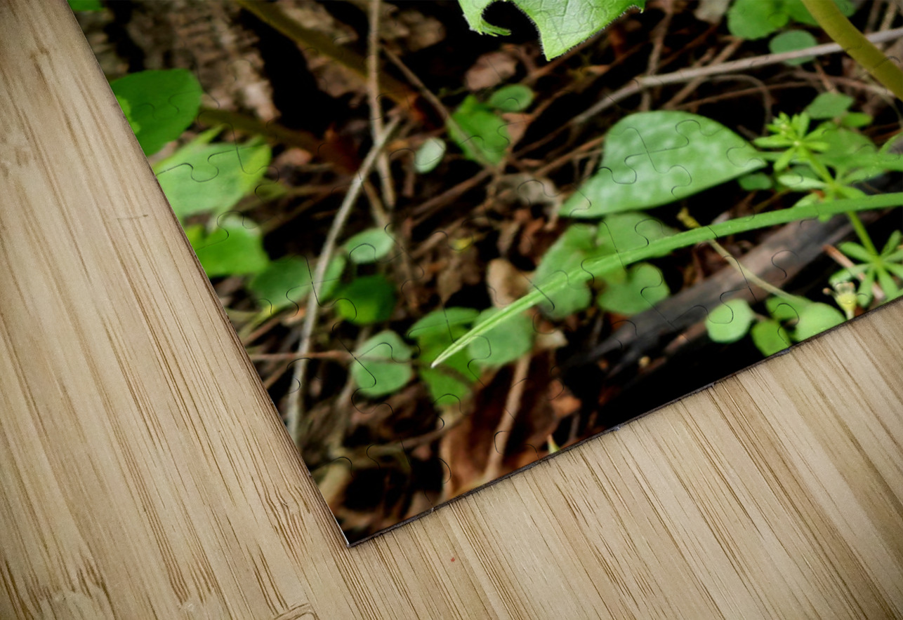 Walnut Head Earthshine Emporium Puzzle