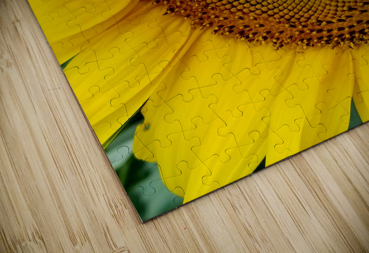 Sunflower Left Earthshine Emporium Puzzle