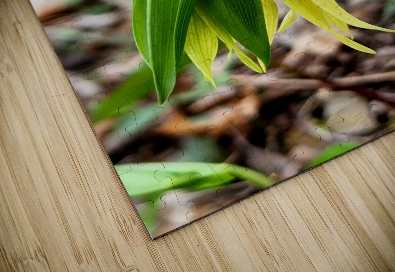 Uvalaria Earthshine Emporium Puzzle