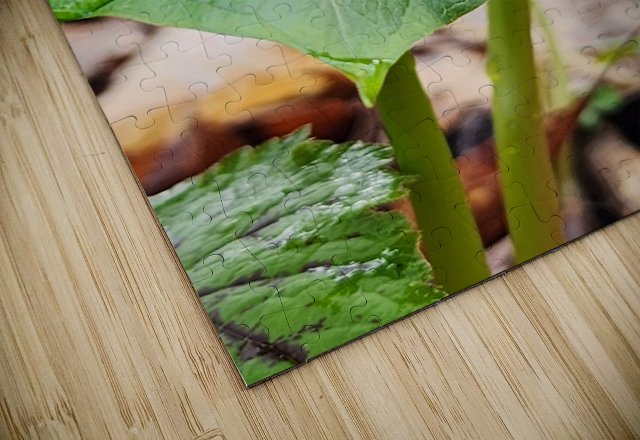Red Trillium Bud Earthshine Emporium Puzzle