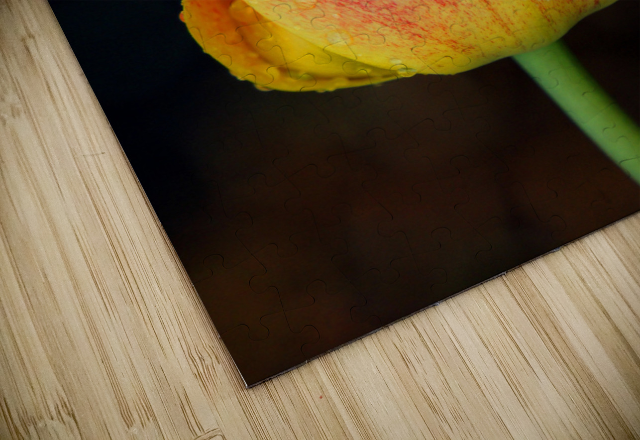 Stunning Tulip Earthshine Emporium Puzzle