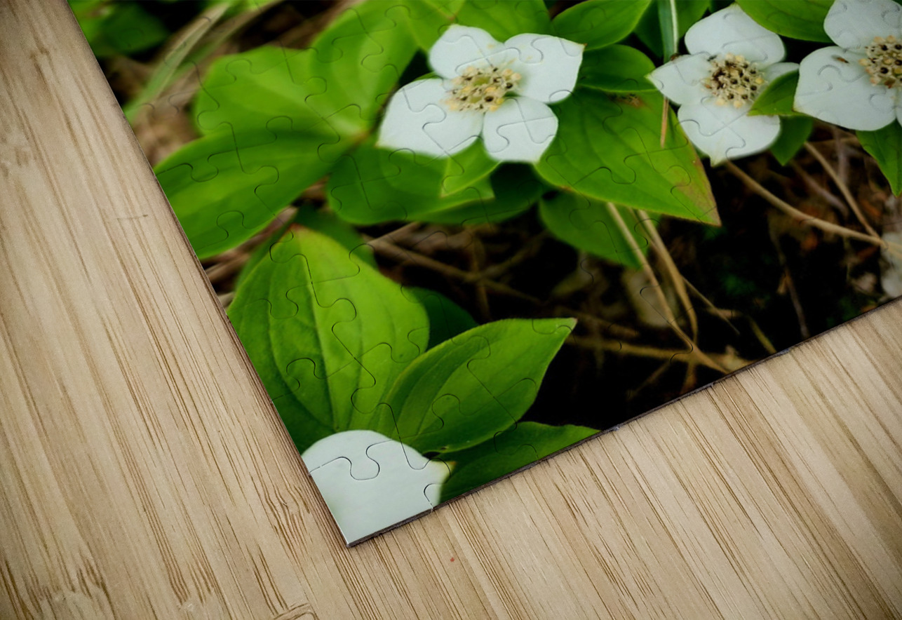 Bunchberry Earthshine Emporium Puzzle