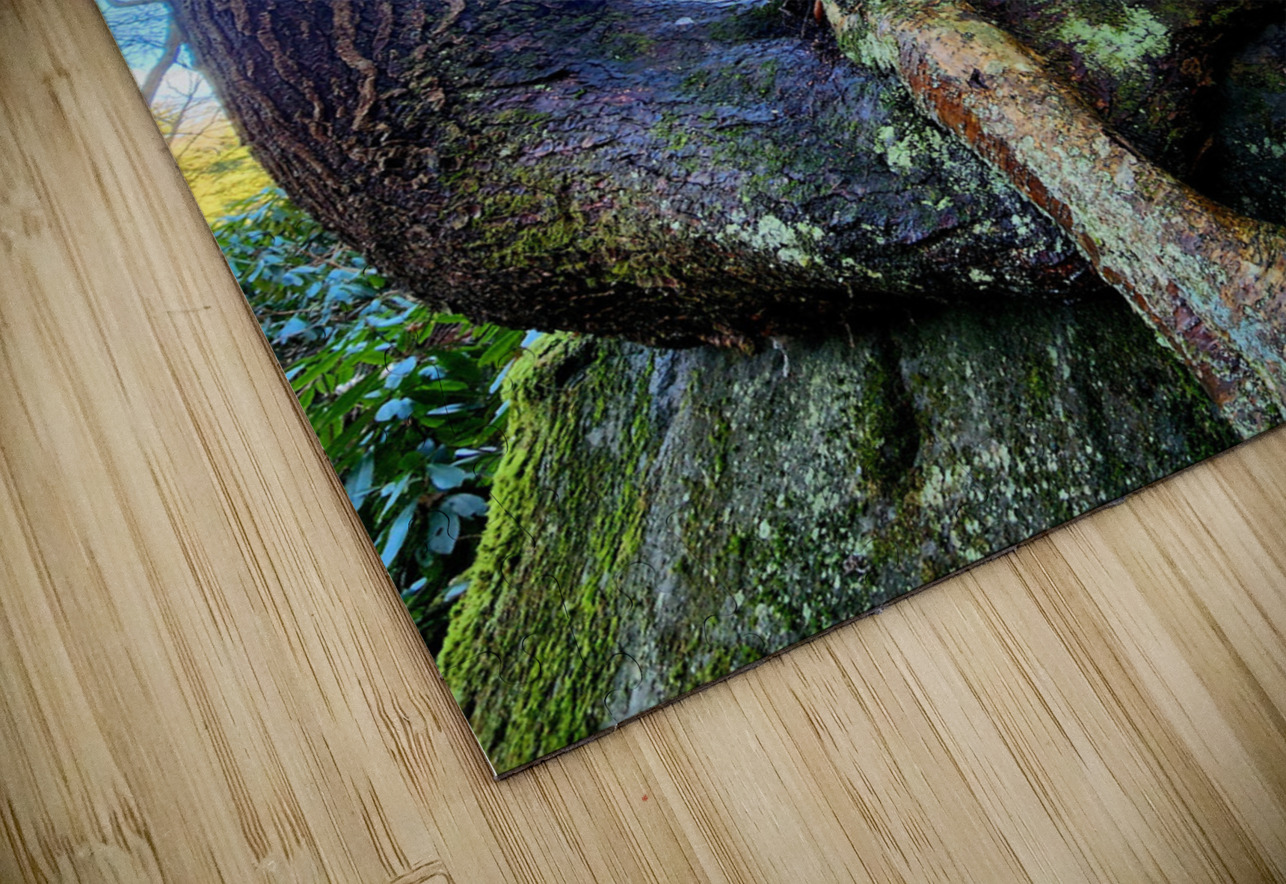 Muppet Tree 1 Earthshine Emporium Puzzle