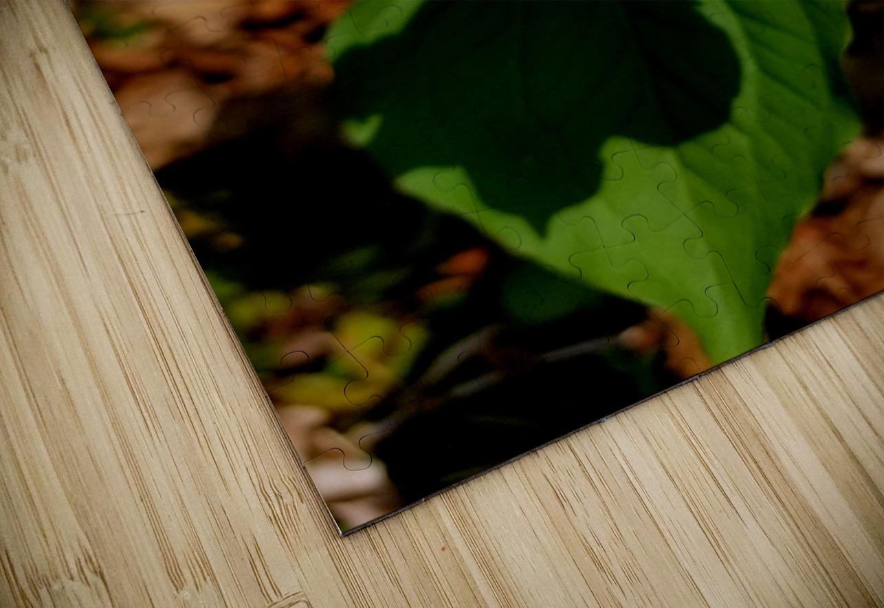 Double White Trillium Earthshine Emporium Puzzle