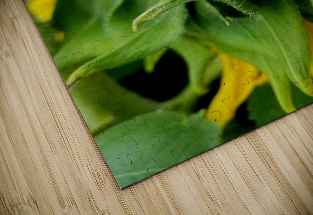Sunflower Sepals Earthshine Emporium Puzzle