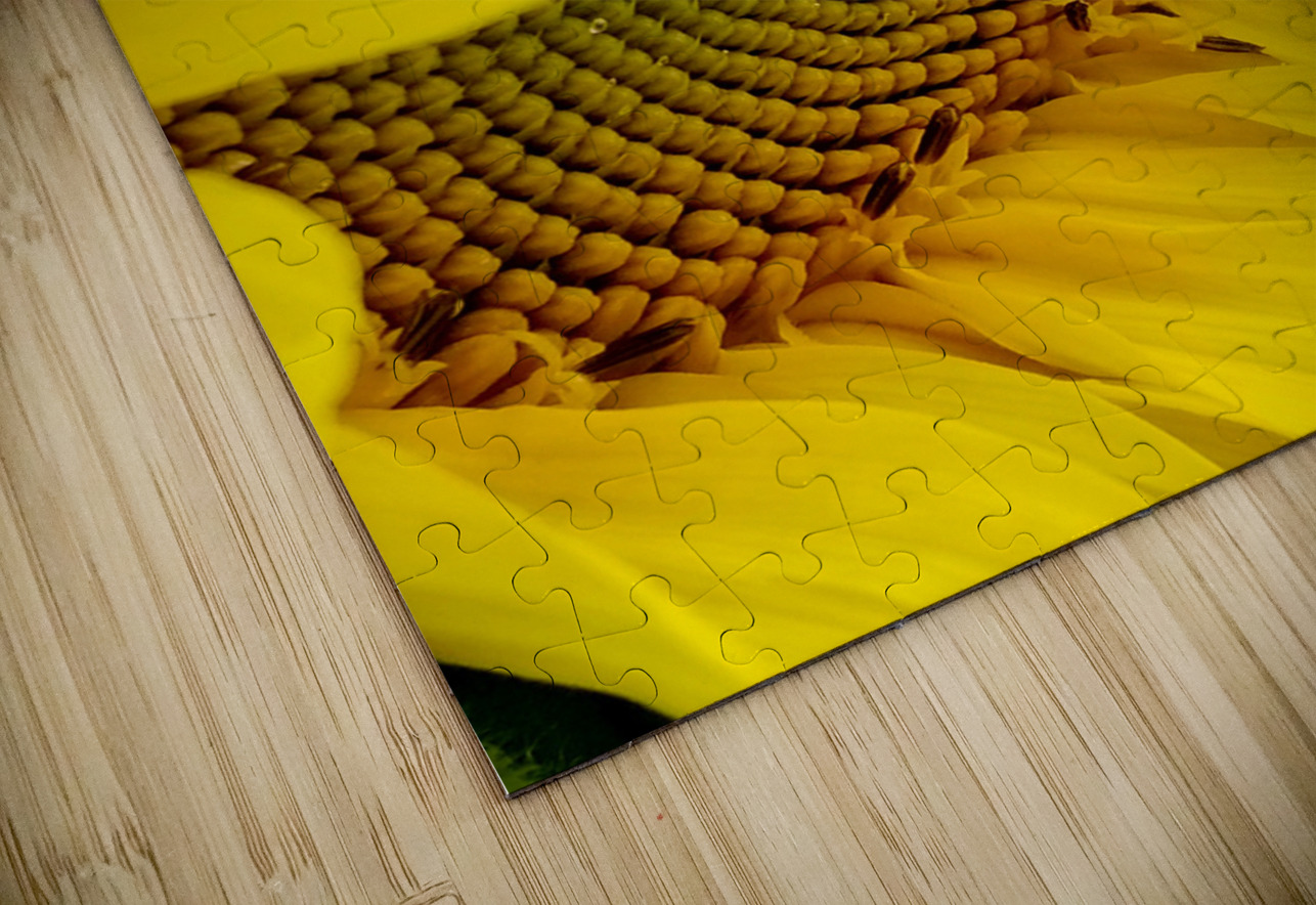 Sunflower Right Earthshine Emporium Puzzle