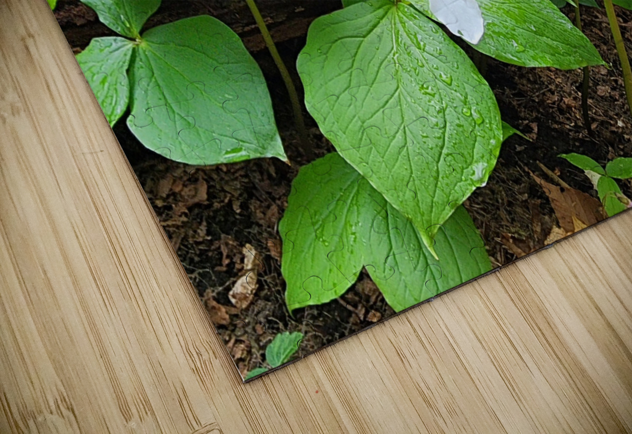 White Trillium Line Earthshine Emporium Puzzle