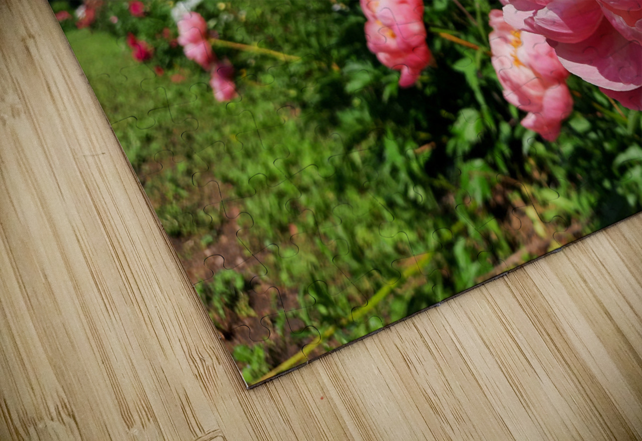 Salmon Peony Row Earthshine Emporium Puzzle