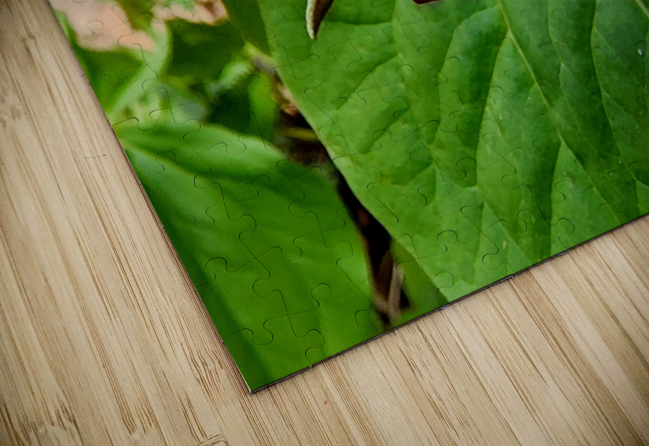 Red Trillium Nodding Earthshine Emporium Puzzle