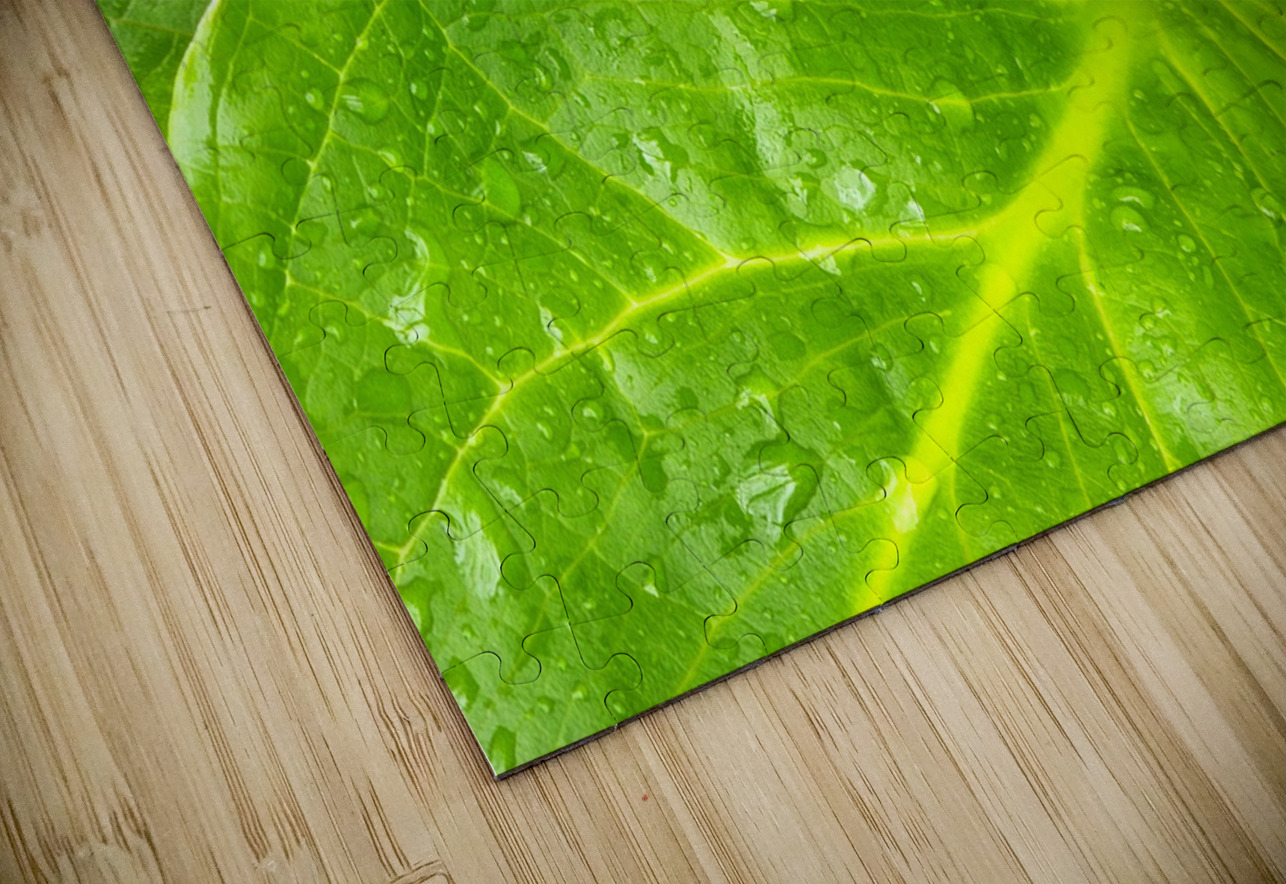 Skunk Cabbage Earthshine Emporium Puzzle