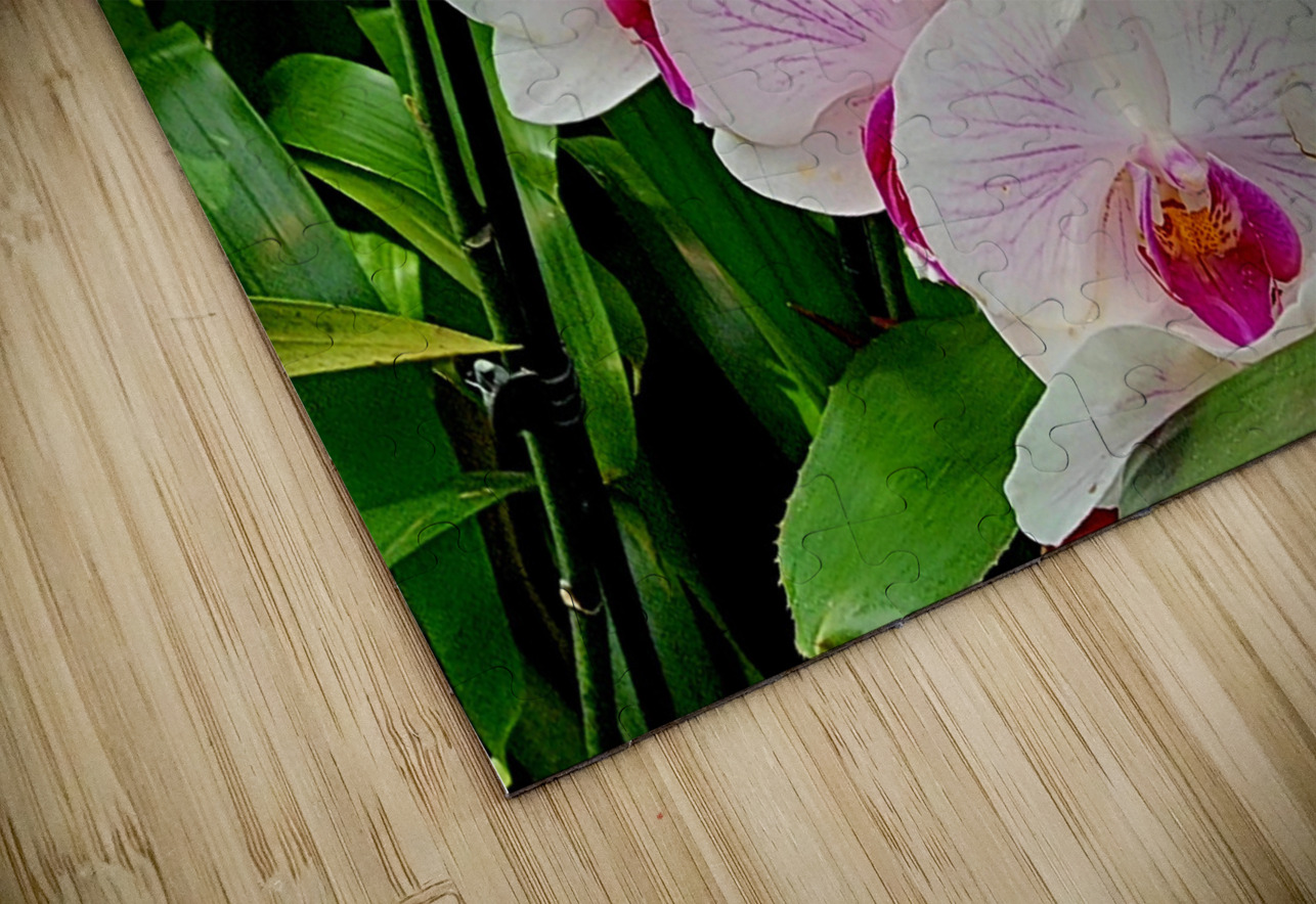 Orchid Cluster Earthshine Emporium Puzzle